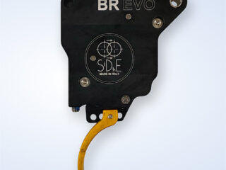 br_evo_gold
